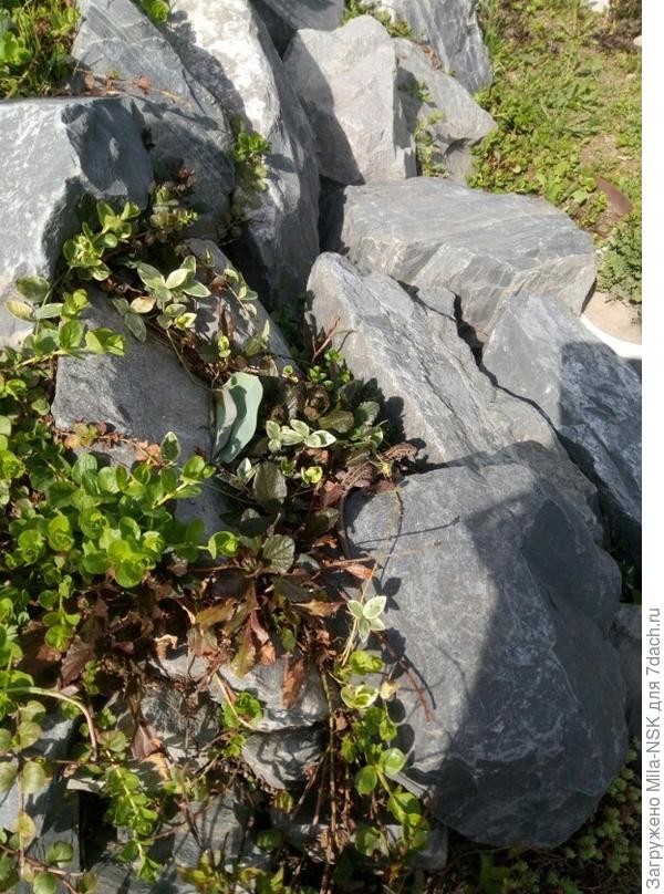 Найди меня!