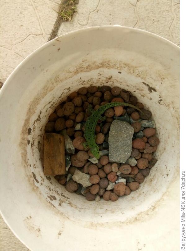 "Вот  это я попала!"