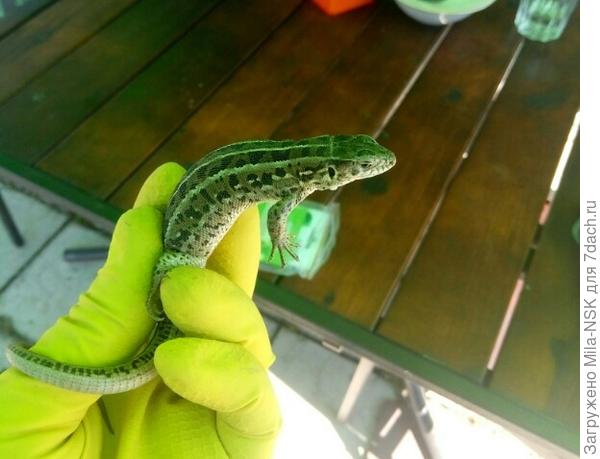 "Отпусти меня, пожалуйста!"