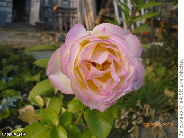 Еще один сентябрьский.