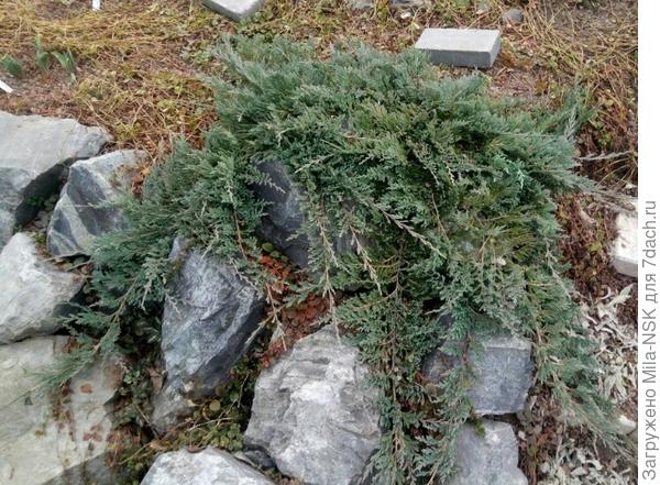 В телефоне только такое фото есть. Это Все Блю в апреле