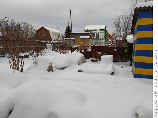 Вот вчера снимала.