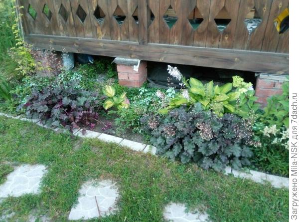 это цветник перед баней