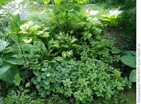 со стороны дома