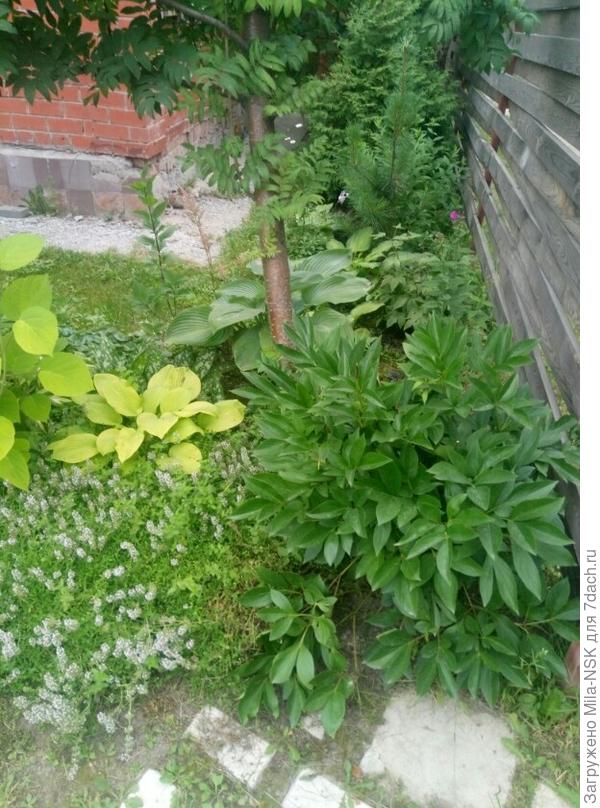 Вид от калитки