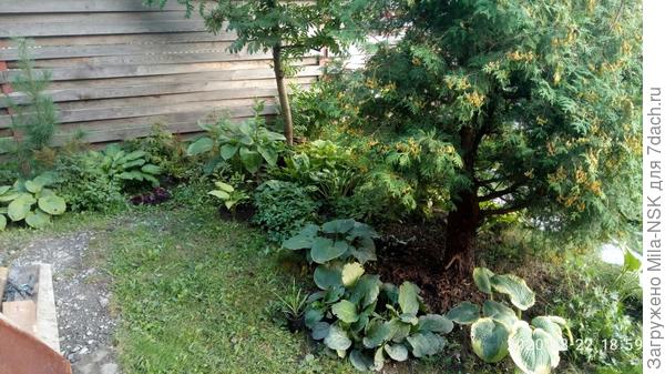 вид с крыльца