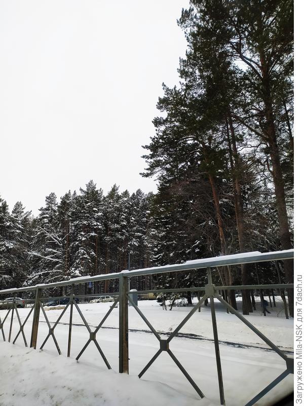 Академ-городок. Проспект Лаврентьева (основатель нашего Ак-городка)