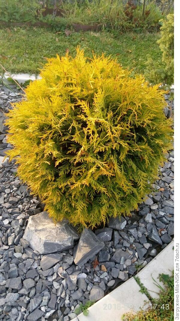 Вот она поближе