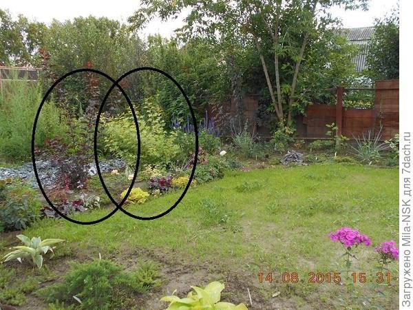 Это они же через год, в августе 2015