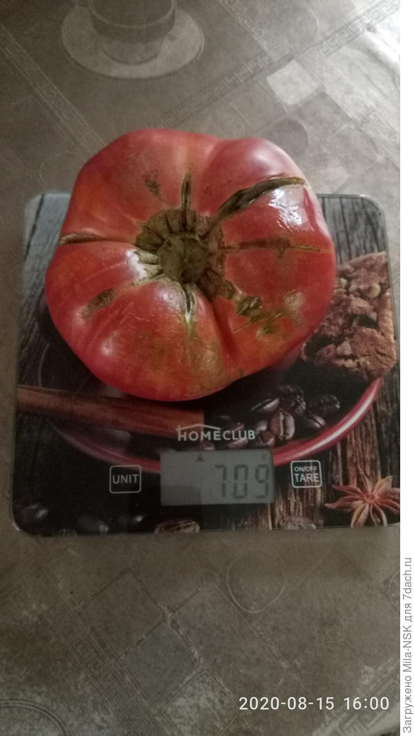 И это еще не самый большой был.