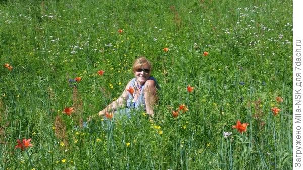 Заповедная лилиевая поляна в Хачикатцах.
