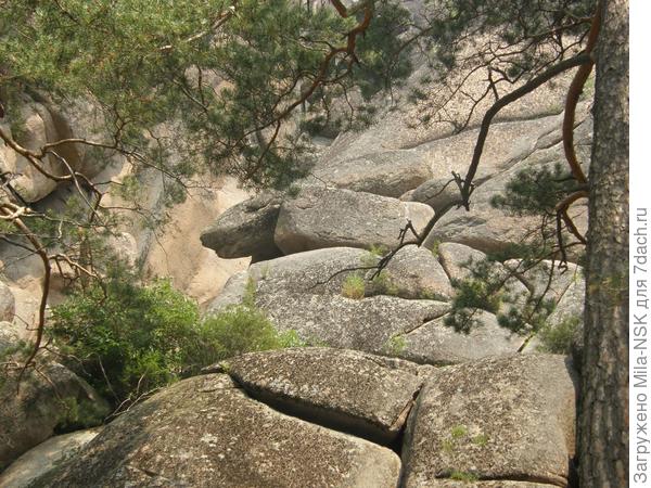 То ли змейка, то ли ящерка...