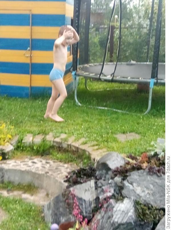 В день Ивана Купалы