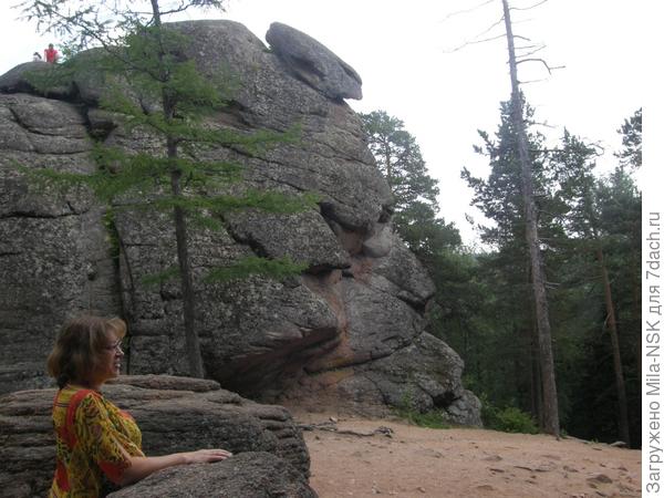 Спящий лев.