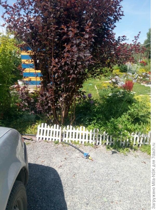 Моя машина на парковке. Видно по тени, что впереди достаточно свободного места. Сзади столько же.