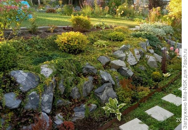 Верхние террасы