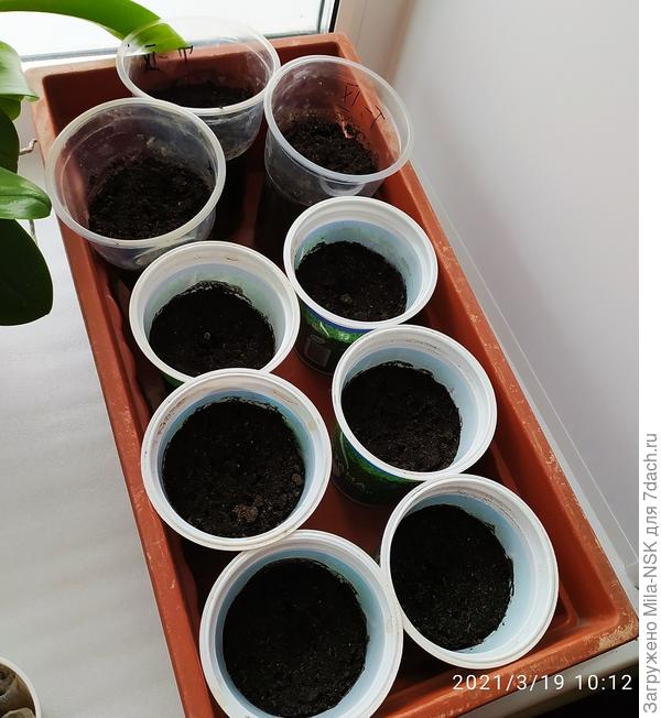 И еще они же...