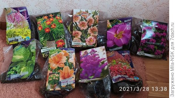 Мое боХгатство!