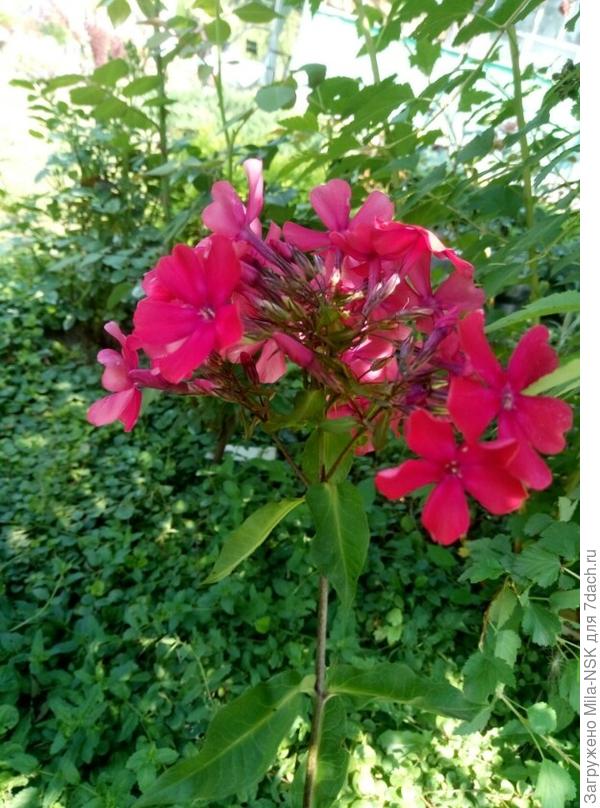 Этот тоже вместе с ним был в одной закупке.