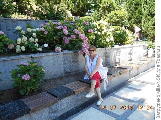 Тоже Партенит.