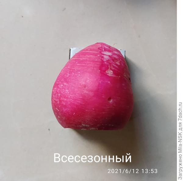 Редиска на коробке.