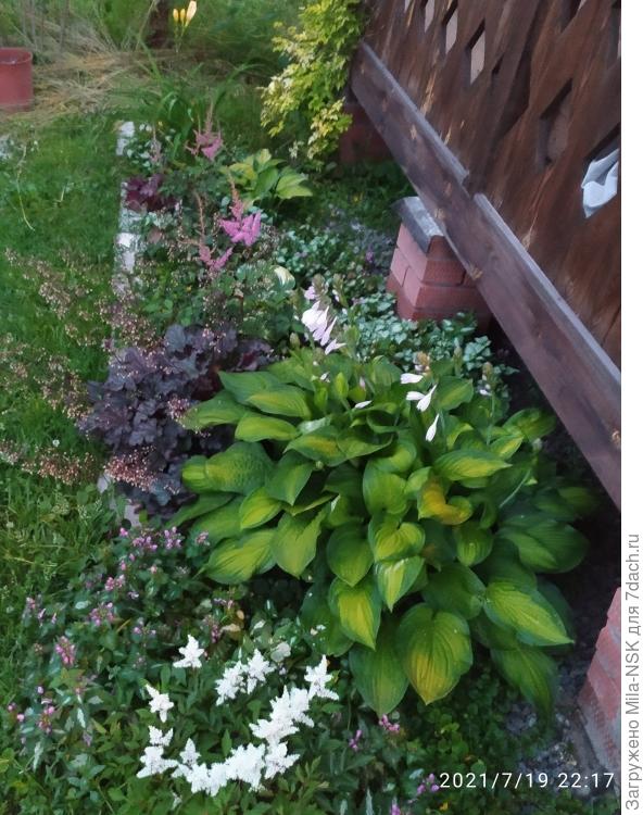 Общий план в профиль