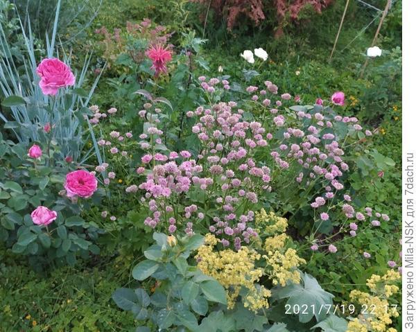 Она же в цветнике