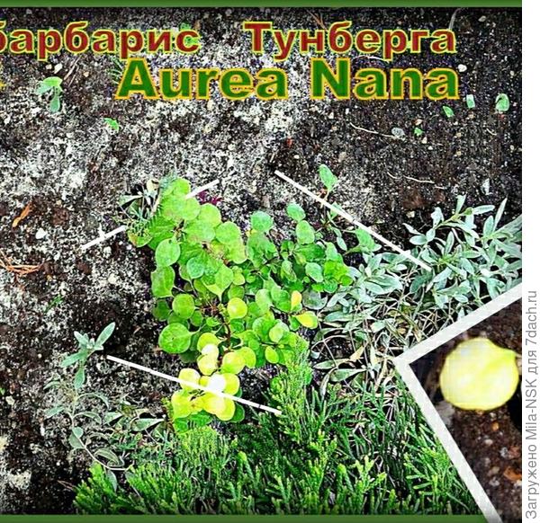 Вот так примерно.