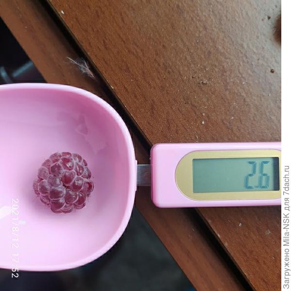 Средний вес 2,4-2,6 г.