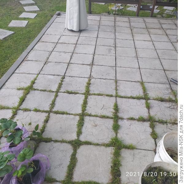 Для сравнения: здесь видно очищенный кусочек и еще с травой.