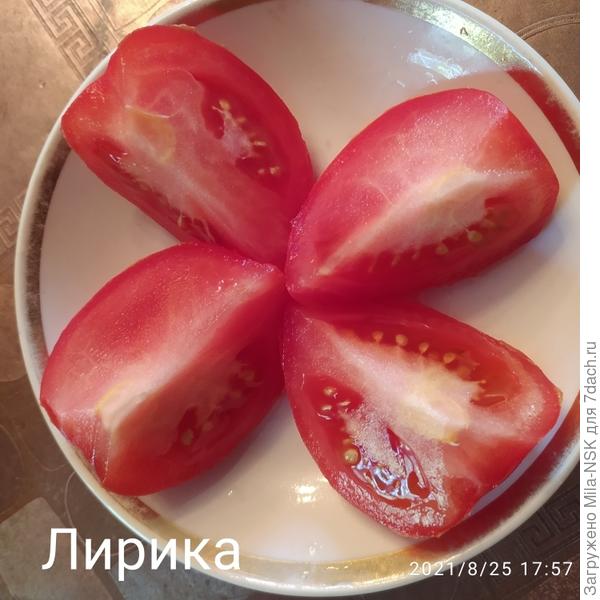 Лирика в разрезе