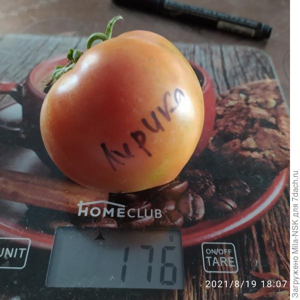 Самый крупный плод