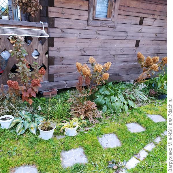 Ну как тут не плакать?