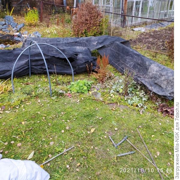 А еще нынче решила провести эксперимент. Сначала на "домики" накинула черный плотный геотекстиль...