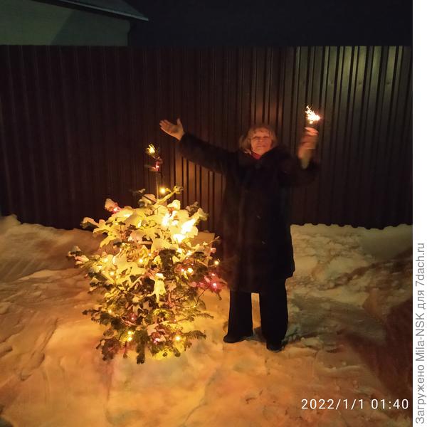 Новогодняя ночь на даче старших детей!