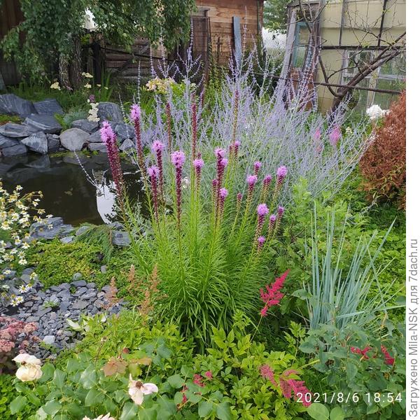 Вот здесь часть растюх видно.