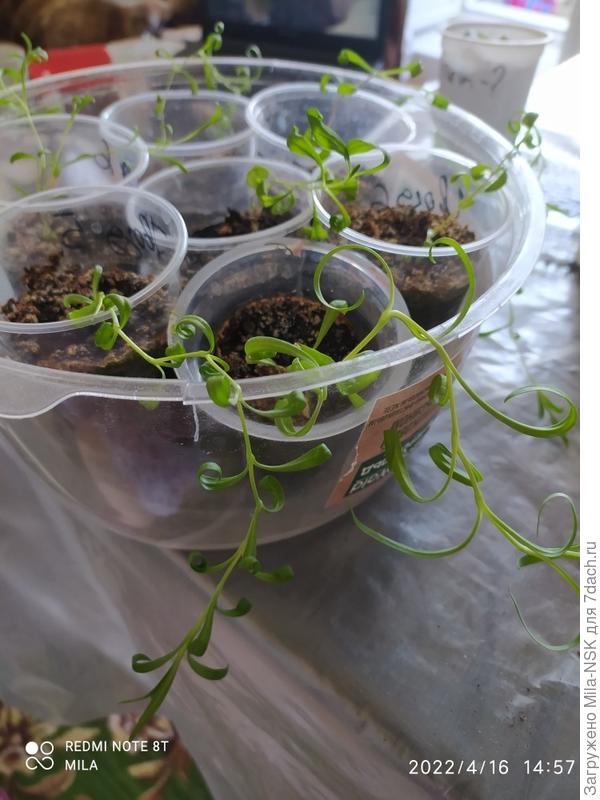 До пересадки.