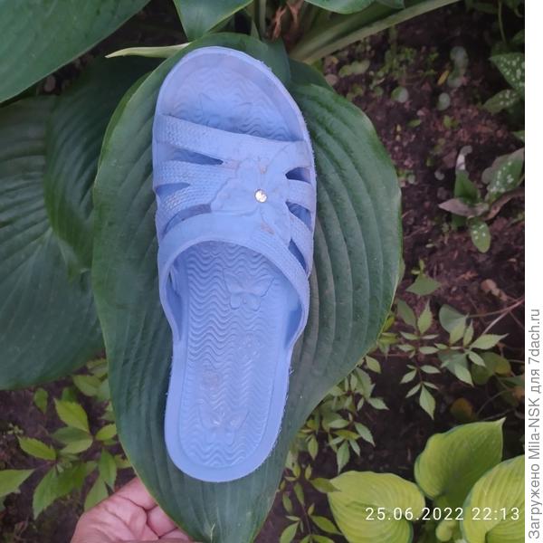 Императрица Ву