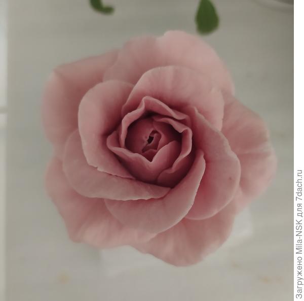 Это вторая.