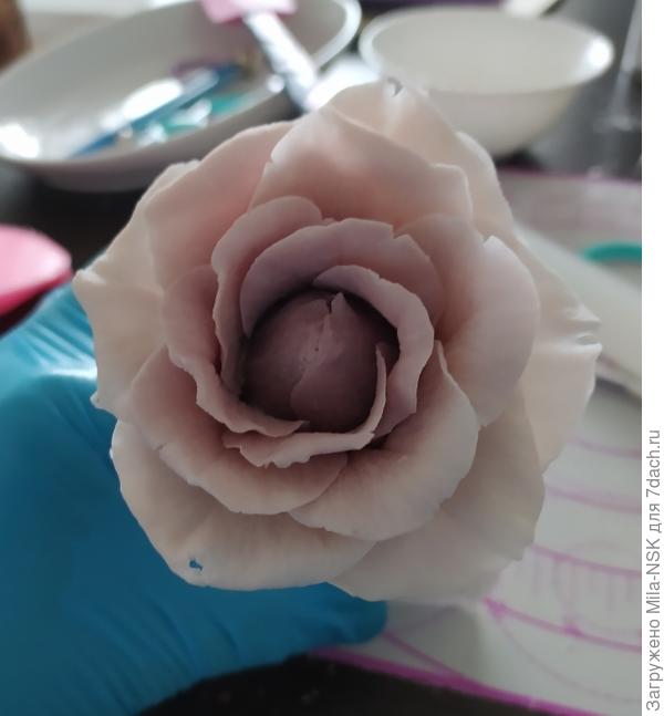 Постепенно подрастаем...