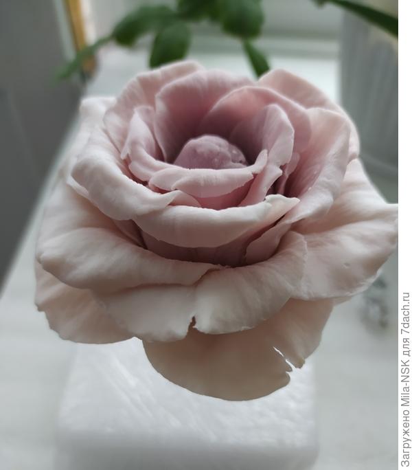 Хоть на вытавку!