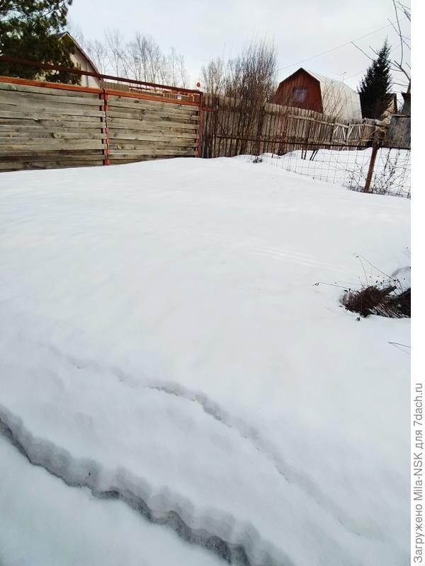 у нас сегодня вот...