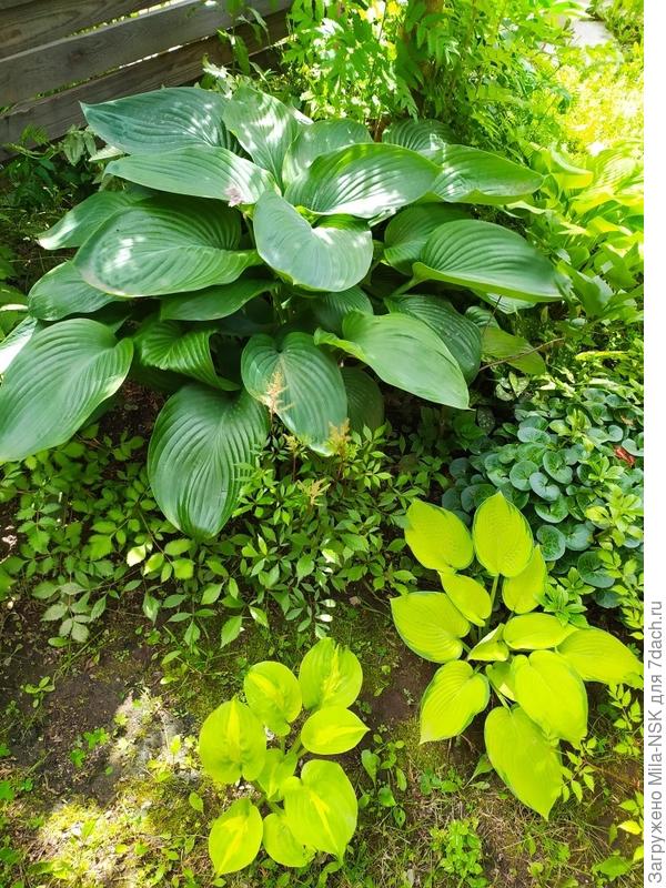 Императрица Ву на заднем плане.