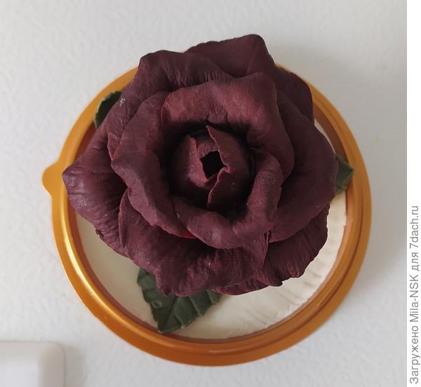 А еще вот такую.. Похожа на мою, почившую в бозе, любимицу-Фиджи негро.