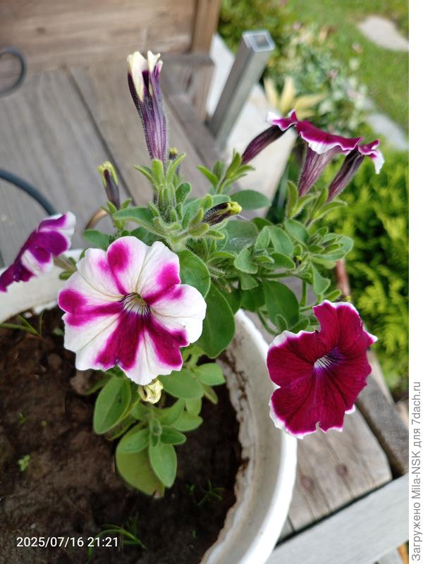 Когда не хочешь быть, как все.