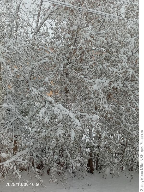 Похоже, зима перепутала время. Сказка про 12 месяцев в действии.