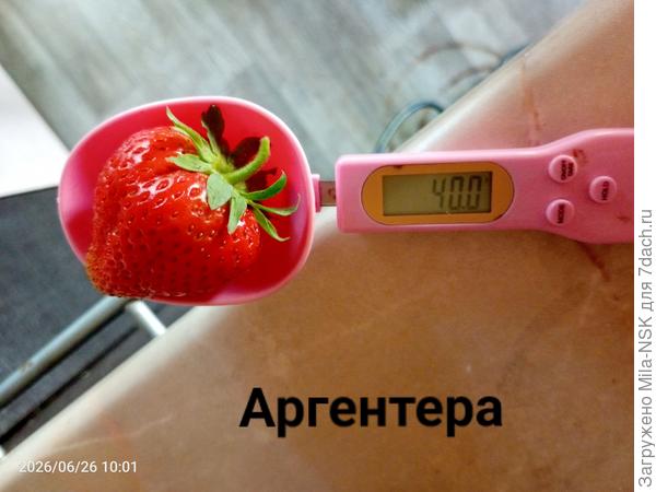 Вот такая великанша