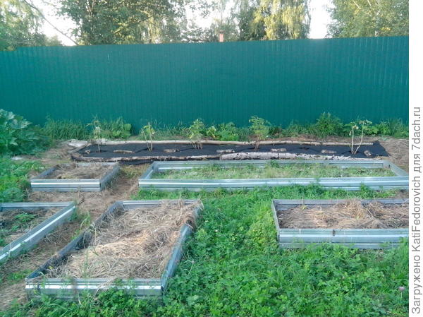 оцинкованные грядки