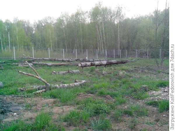 лесоповал