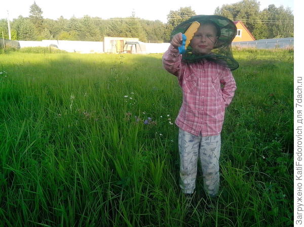 идет пилить